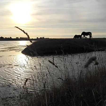 Les Du Joslin Frühstückspension Bouin (Vendee)