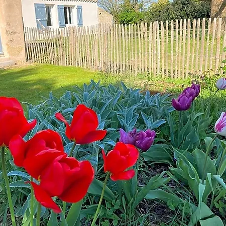 Les Du Joslin