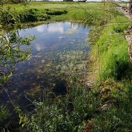 Les Du Joslin Bed & Breakfast Bouin (Vendee)