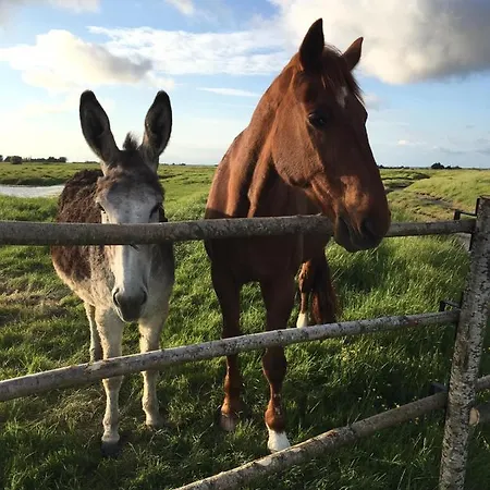 Les Du Joslin 3* Bouin (Vendee)