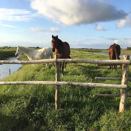 Les Du Joslin 3* Bouin (Vendee)