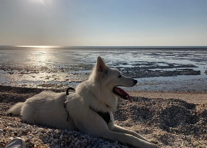 住宿加早餐酒店 Les Du Joslin 3*