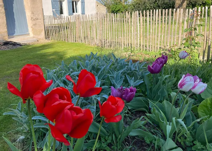 Les Du Joslin 布安