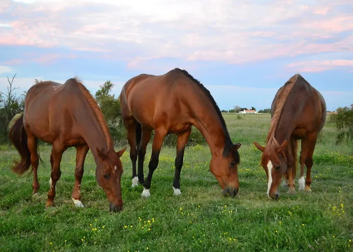 Les Du Joslin 住宿加早餐酒店 3*