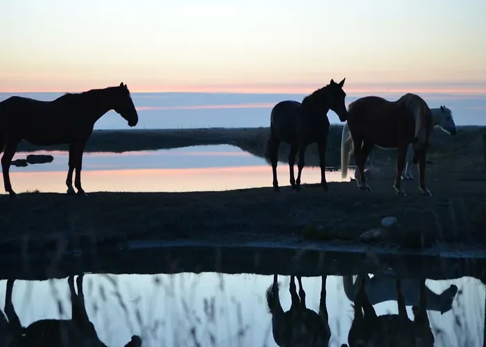 Les Du Joslin 住宿加早餐酒店 布安