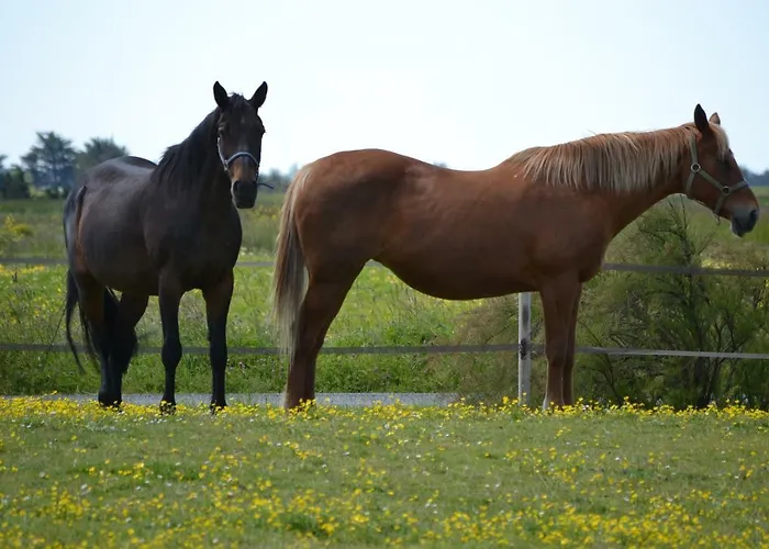 住宿加早餐酒店 Les Du Joslin 布安