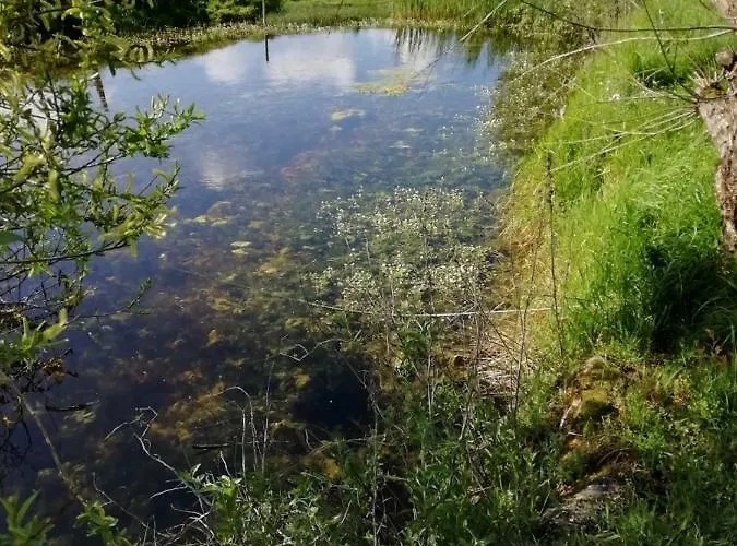 Les Du Joslin לינה וארוחת בוקר Bouin (Vendee)