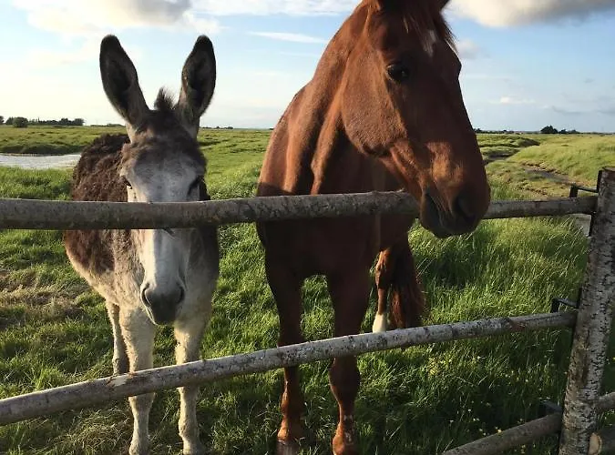 Les Du Joslin 3* 布安