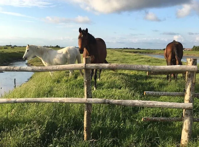 Les Du Joslin 3* Bouin (Vendee)